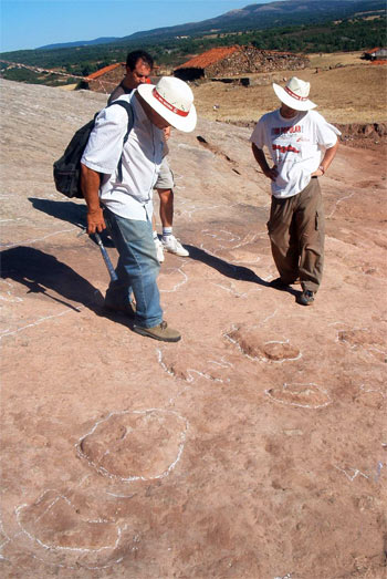 Paleontologists analysing the prints
