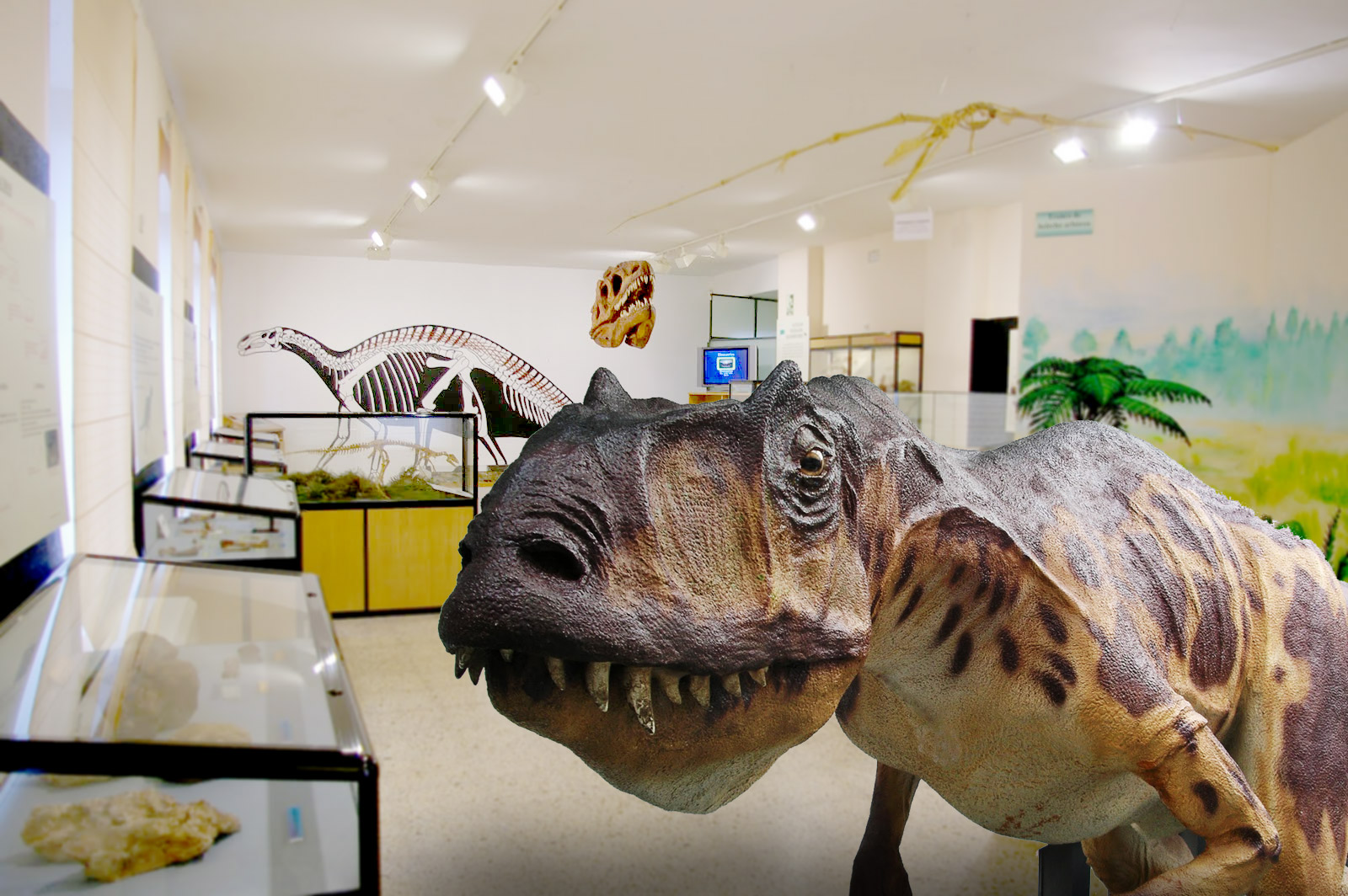 Museum of Archaeology and Paleontology