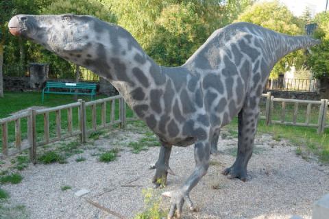 Iguanodon, Salas de los Infantes (Burgos) Iguanodon, Salas de los Infantes (Burgos)