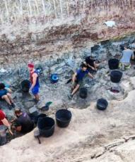Cesan las campaas de excavaciones en Torrelara para estudiar los mil fsiles recuperados