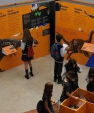 Cerca de 5.000 personas visitan la exposicin Dinosaurios entre Nosotros organizada por el Museo de Ciencias Universidad de Navarra