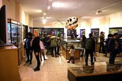 FOTO:Museo de Dinosaurios de Salas de los Infantes. FD FOTOMuseo de Dinosaurios de Salas de los Infantes. FD