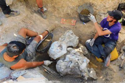 FOTO:The remains were recovered during the 2019 Torrelara excavation. FOTOThe remains were recovered during the 2019 Torrelara excavation.