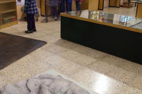 Museo de Dinosaurios Museo de Dinosaurios