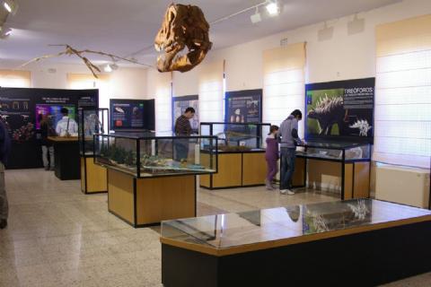 Museo de Dinosaurios Museo de Dinosaurios