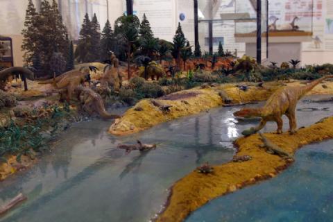 Museo de Dinosaurios Museo de Dinosaurios