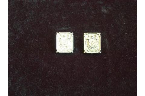 Pin Escudo Salas Pin Escudo Salas