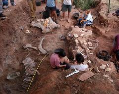 Un momento de la excavación. Un momento de la excavación.