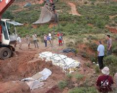 Una excavadora traslada los restos fósiles. Una excavadora traslada los restos fósiles.