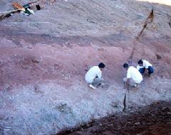 Vista general de los rastros de Costalomo. Vista general de los rastros de Costalomo.