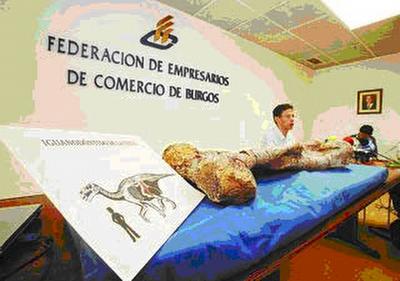 FOTO:Fidel Torcida en la presentación de la VII Campaña de Excavaciones. Francisco Javier Antón FOTOFidel Torcida en la presentación de la VII Campaña de Excavaciones. Francisco Javier Antón