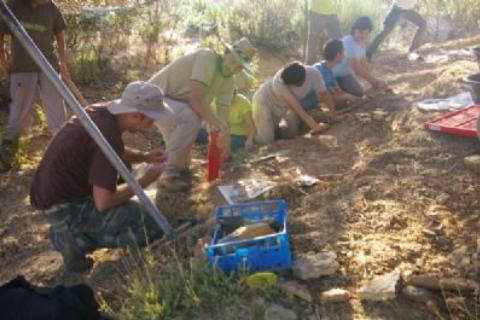 Excavación paleobotánica