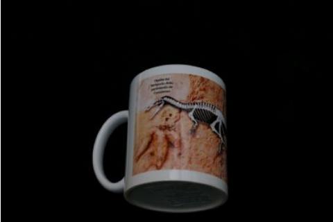Taza Museo Taza Museo