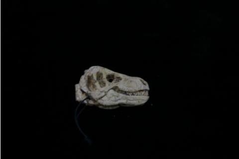Llavero cráneo T-Rex