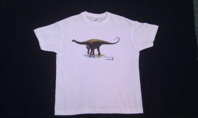 Camiseta Demansasaurus darwini