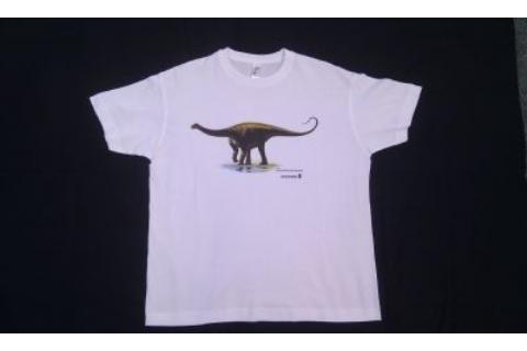 Camiseta Demansasaurus darwini Camiseta Demansasaurus darwini