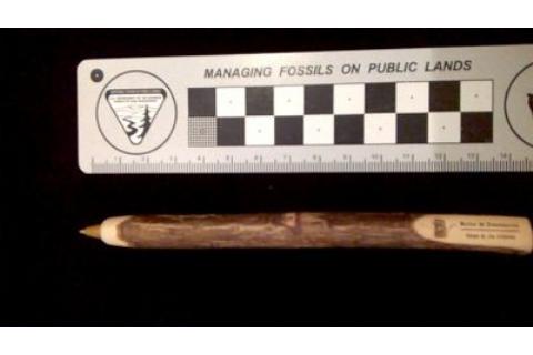 Bolígrafo de madera Bolígrafo de madera