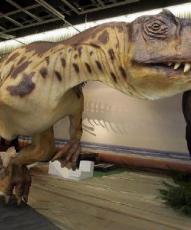 Arranca la ampliación del almacén del Museo de Dinosaurios