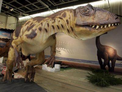 FOTO:La obra se solicitó en 2004 ante la falta de espacio - S. OTERO FOTOLa obra se solicitó en 2004 ante la falta de espacio - S. OTERO