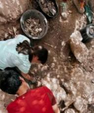La campaña paleontológica se traslada de Torrelara a yacimientos cercanos a Salas