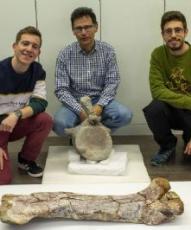 Nuevos estudios sobre dinosaurios de la Sierra de la Demanda (Burgos)