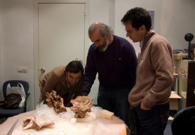 FOTOLos paleontólogos José Ignacio Canudo (i) y Leonardo Salgado (c) junto al director del Museo salense, Fidel Torcida.