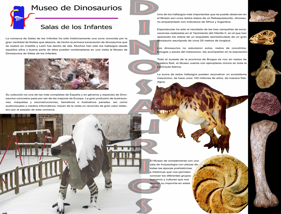 Sobre el Museo -tarifas, horario, ubicación- | dinosaurios,paleontologia,salas  de los infantes, burgos, españa, museo | Fundación Dinosaurios Castilla y  León