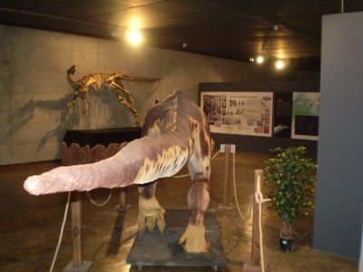 The news of the Foundation El sábado cierra sus puertas “al encuentro de  los Titanes: Dinosaurios en CyL” de Valladolid, la exposición más `colosal´  del momento | dinosaurs, paleontology, salas de los