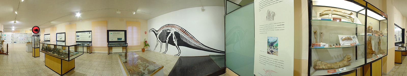 Paleontología. Final de la sala.