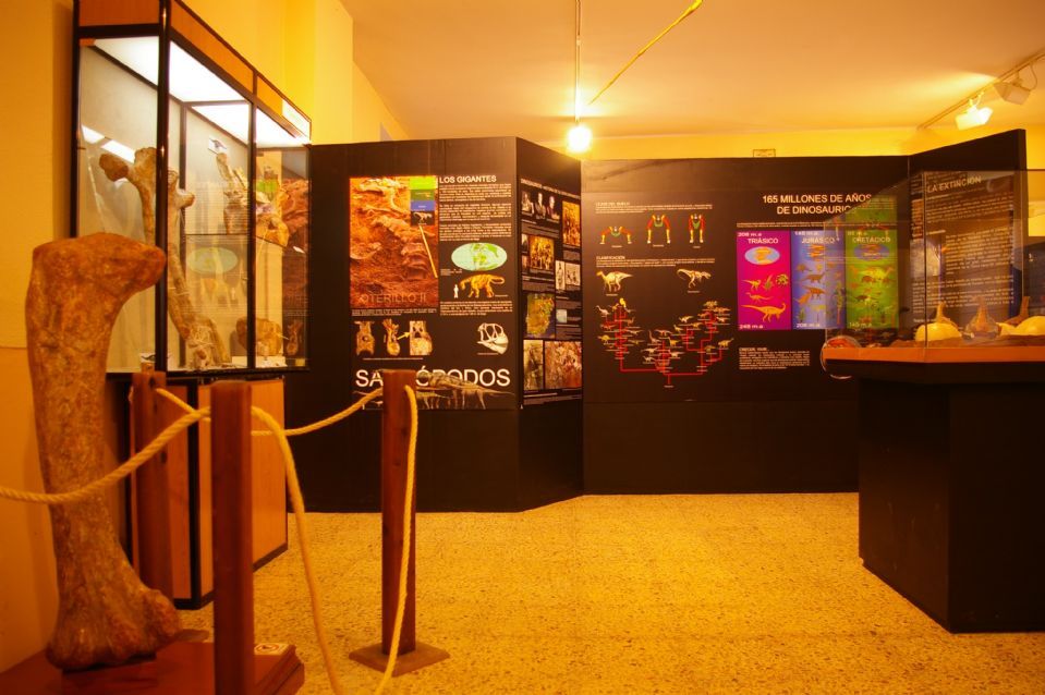 MUSEO DE DINOSAURIOS DE SALAS DE LOS INFANTES