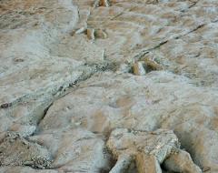 Costalomo. Footprints of Atila in relief Costalomo. Footprints of Atila in relief