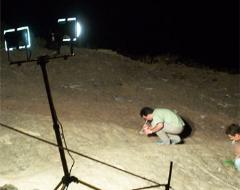 Marking the prints Marking the prints