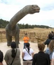 The tourism of «dinosaurs» leaves an economic impact of 2 million in La Demanda