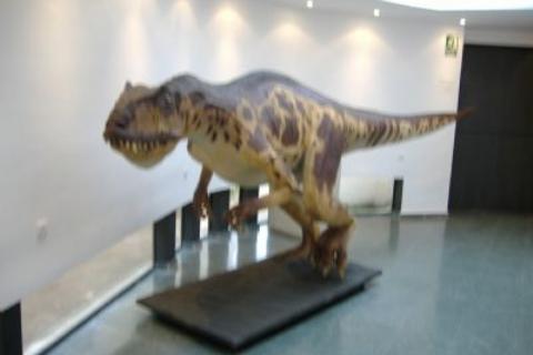 Allosaurus gave by Dinokinetics