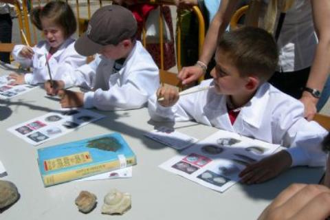Marine Fossil Identification Workshop
