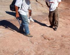 Paleontólogos examinando las huellas.
