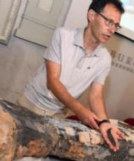La XVI campaña de excavaciones en Torrelara (Burgos) permite hallar fósiles de hasta 5 nuevos dinosaurios