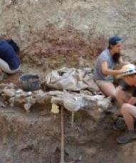 Entidades burgalesas critican la exclusión de los restos paleontológicos no antrópicos del patrimonio de Castilla y León
