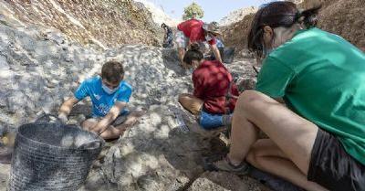 FOTO:La cadera, en el centro de la imagen, aún se encuentra enterrada en parte, pero piensan que por cómo está depositada podría salir completa. - Foto: f2estudio FOTOLa cadera, en el centro de la imagen, aún se encuentra enterrada en parte, pero piensan que por cómo está depositada podría salir completa. - Foto: f2estudio