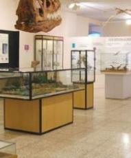 Así es el Museo de Dinosaurios que demanda Salas de los Infantes