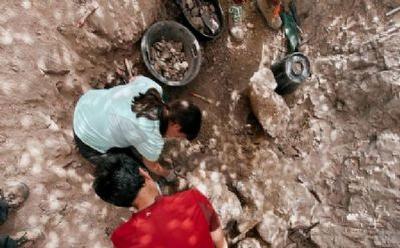 FOTO:Imagen de la última campaña de excavaciones en Torrelara. /COLECTIVO ARQUEOLÓGICO Y PALEONTOLÓGICO DE SALAS (CAS). FOTOImagen de la última campaña de excavaciones en Torrelara. /COLECTIVO ARQUEOLÓGICO Y PALEONTOLÓGICO DE SALAS (CAS).