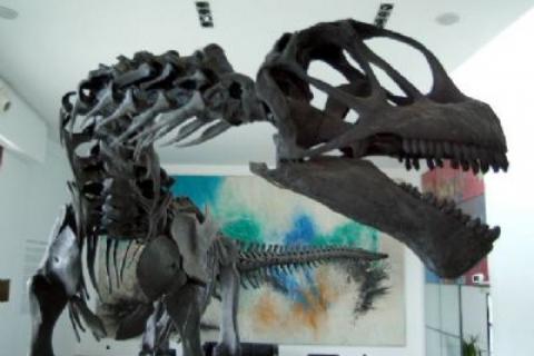 Exposición Al encuentro de los Titanes: Dinosaurios en Castilla y León